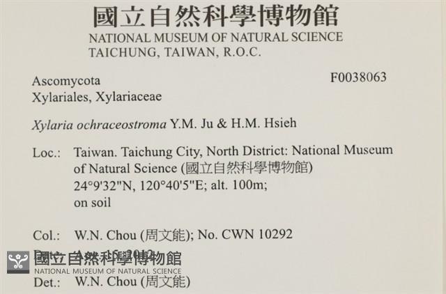 登錄號:F0038063藏品圖，第2張