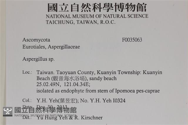 登錄號:F0035063藏品圖，第2張