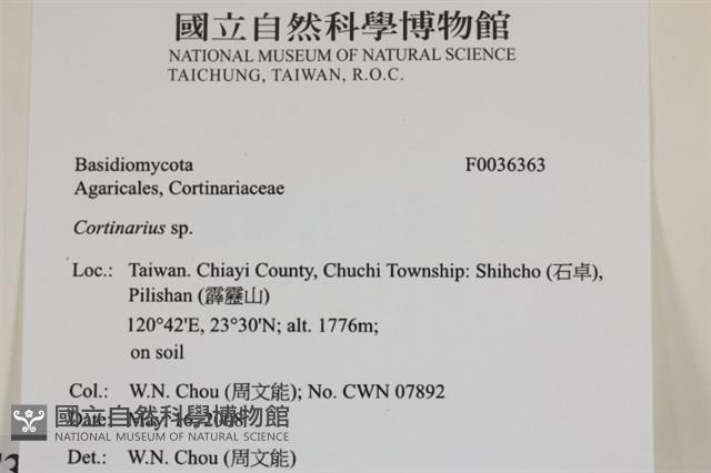 登錄號:F0036363藏品圖，第2張