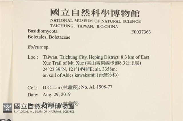 登錄號:F0037363藏品圖，第2張