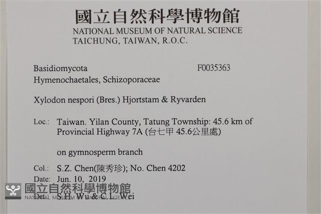 登錄號:F0035363藏品圖，第2張
