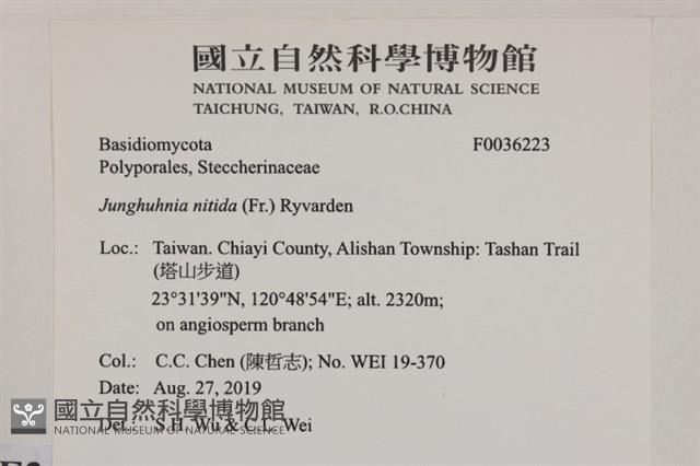 登錄號:F0036223藏品圖，第2張