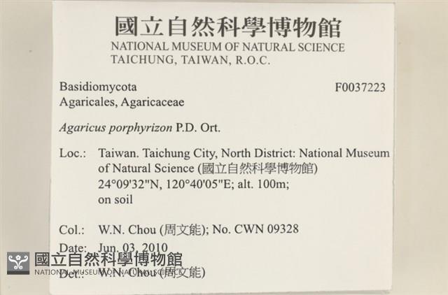 登錄號:F0037223藏品圖，第2張