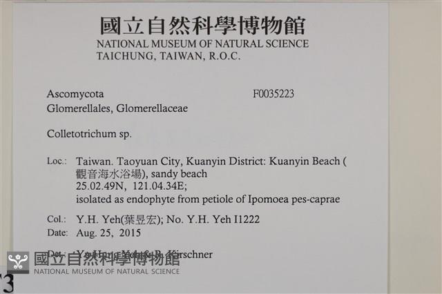 登錄號:F0035223藏品圖，第2張