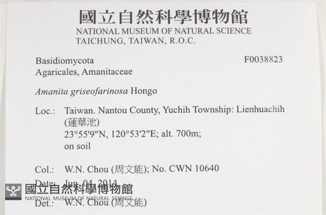 登錄號:F0038823藏品圖，第2張