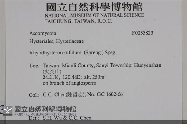 登錄號:F0035823藏品圖，第2張