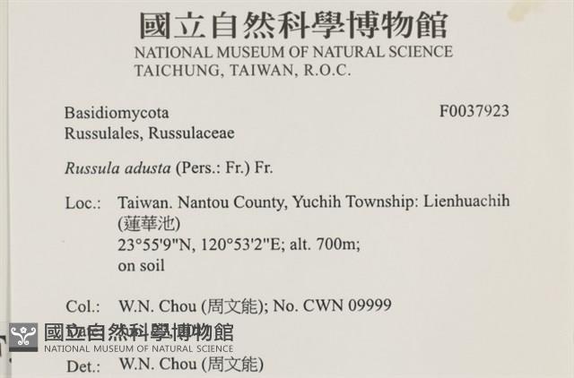 登錄號:F0037923藏品圖，第2張