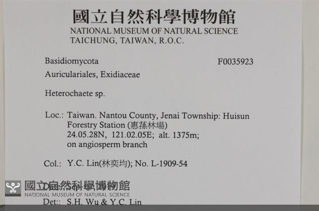 刺皮菌屬藏品圖，第2張