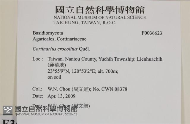 登錄號:F0036623藏品圖，第2張