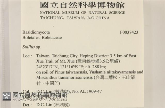登錄號:F0037423藏品圖，第2張