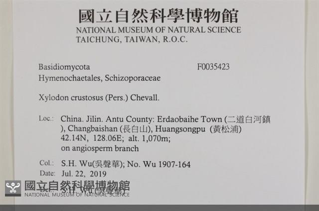 登錄號:F0035423藏品圖，第2張