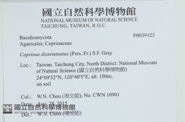 登錄號:F0039423藏品圖，第2張