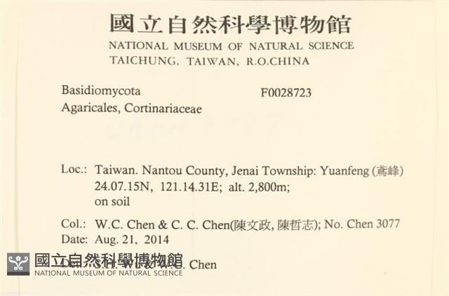登錄號:F0028723藏品圖，第2張