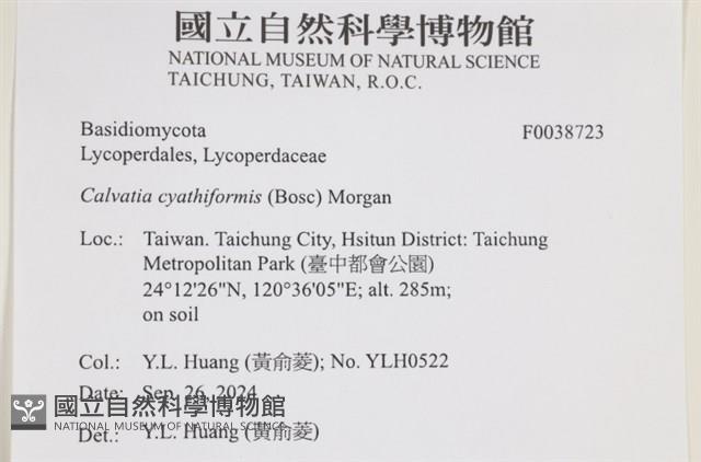 登錄號:F0038723藏品圖，第2張