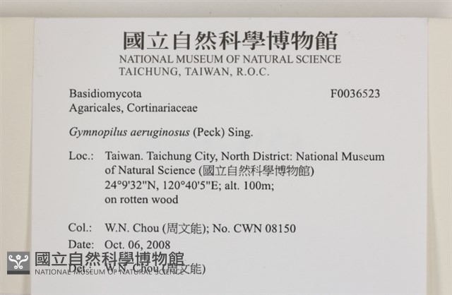 登錄號:F0036523藏品圖，第2張