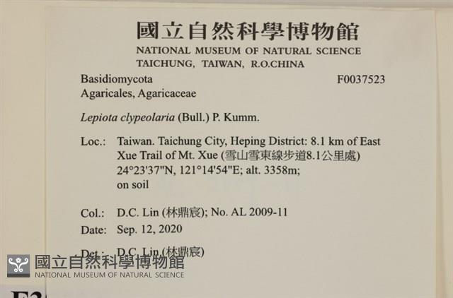 登錄號:F0037523藏品圖，第2張