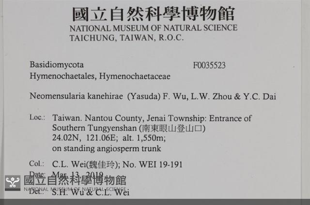 登錄號:F0035523藏品圖，第2張