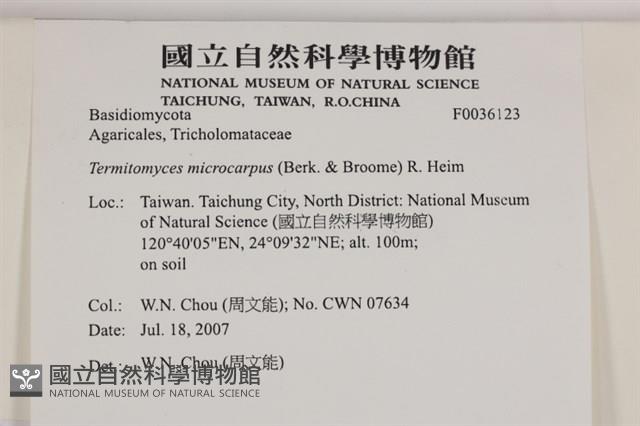 登錄號:F0036123藏品圖，第2張