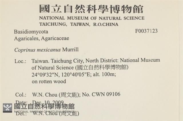 登錄號:F0037123藏品圖，第2張