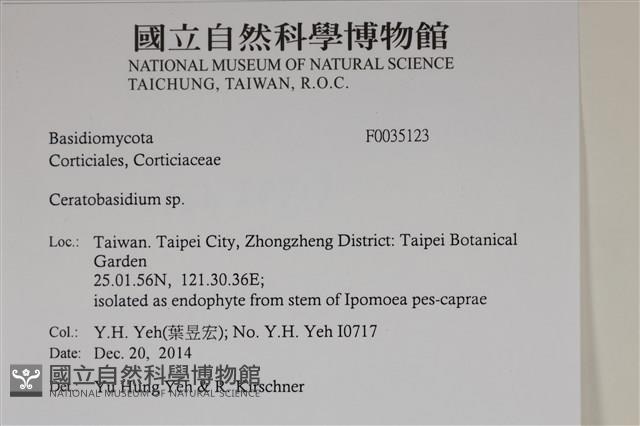 登錄號:F0035123藏品圖，第2張