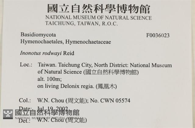 登錄號:F0036023藏品圖，第2張