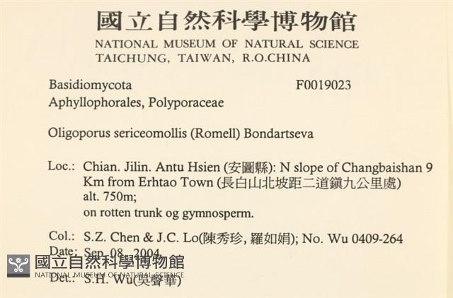 登錄號:F0019023藏品圖，第2張