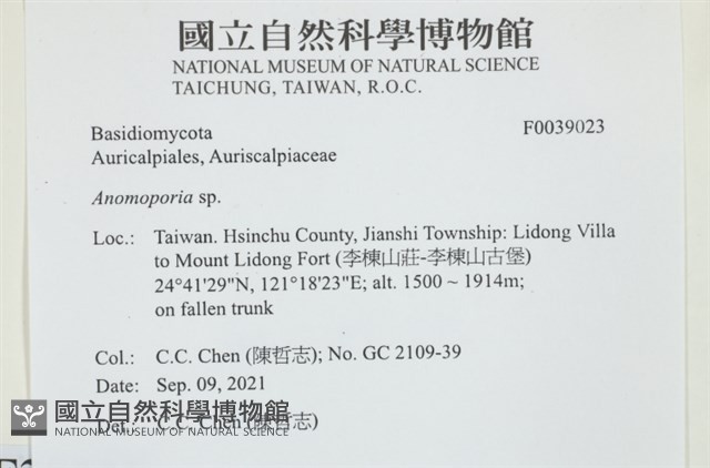 登錄號:F0039023藏品圖，第2張
