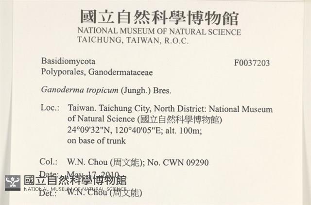 登錄號:F0037203藏品圖，第2張