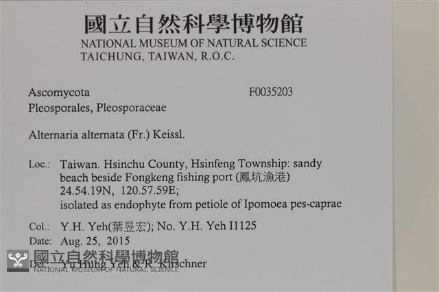 登錄號:F0035203藏品圖，第2張