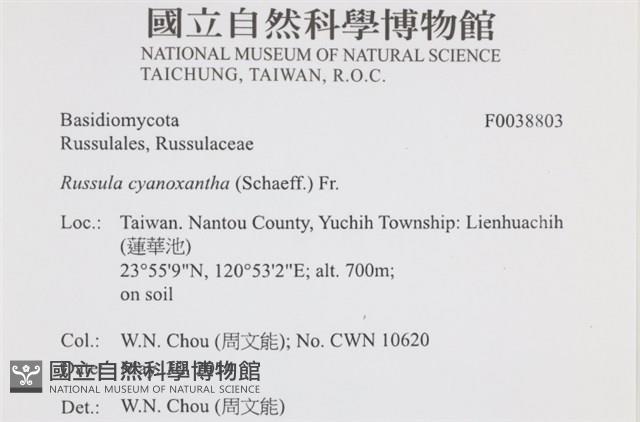 登錄號:F0038803藏品圖，第2張