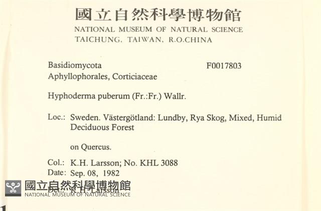 登錄號:F0017803藏品圖，第2張
