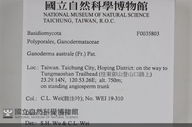 登錄號:F0035803藏品圖，第2張