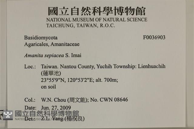 登錄號:F0036903藏品圖，第2張