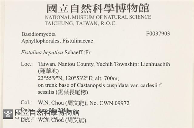 登錄號:F0037903藏品圖，第2張