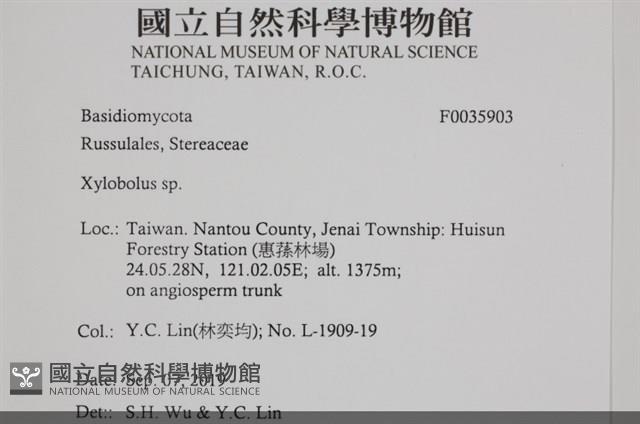 登錄號:F0035903藏品圖，第2張