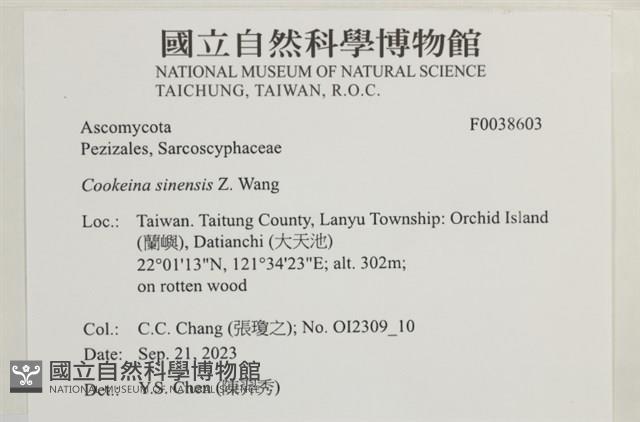 登錄號:F0038603藏品圖，第2張
