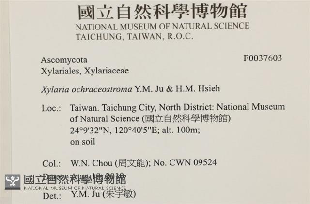 登錄號:F0037603藏品圖，第2張