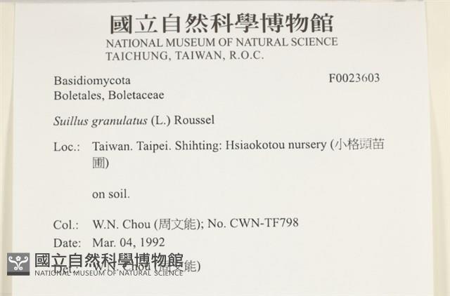 登錄號:F0023603藏品圖，第4張