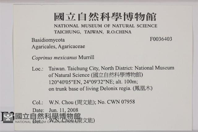 登錄號:F0036403藏品圖，第2張