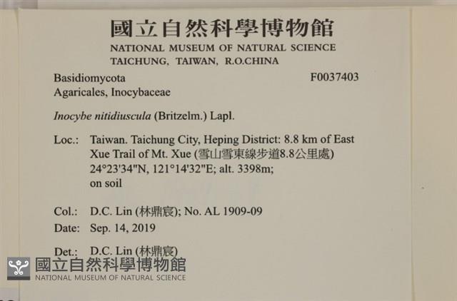 登錄號:F0037403藏品圖，第2張