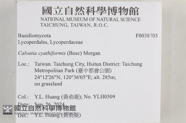 登錄號:F0038703藏品圖，第2張