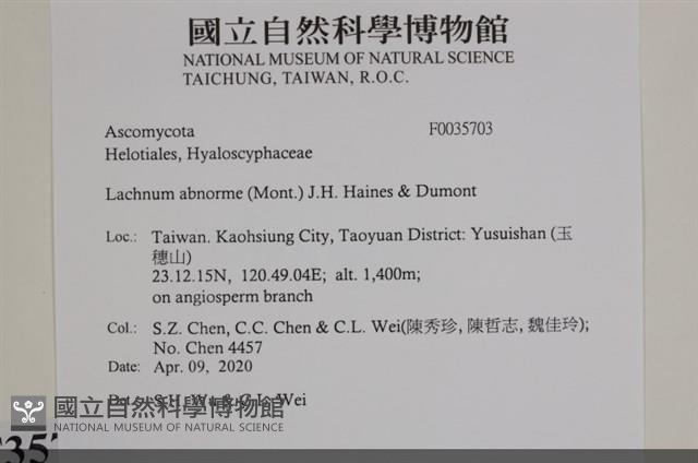 登錄號:F0035703藏品圖，第2張