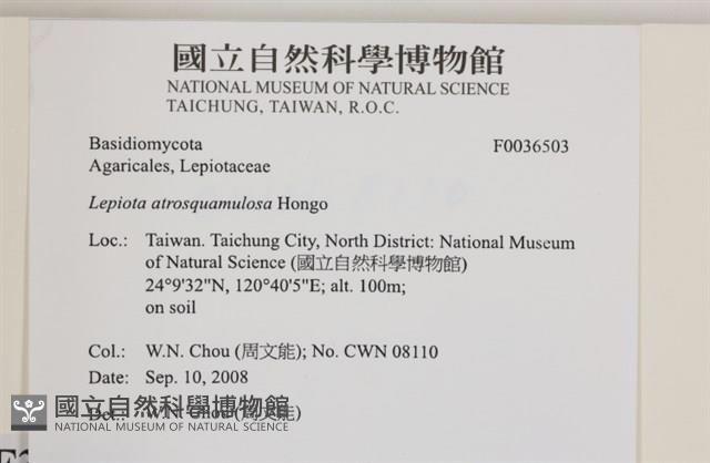 登錄號:F0036503藏品圖，第2張
