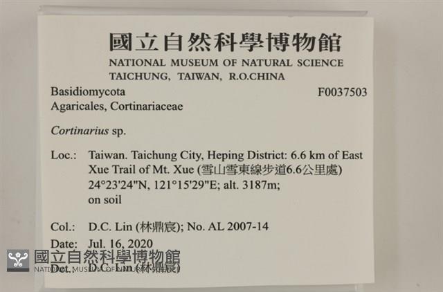 登錄號:F0037503藏品圖，第2張