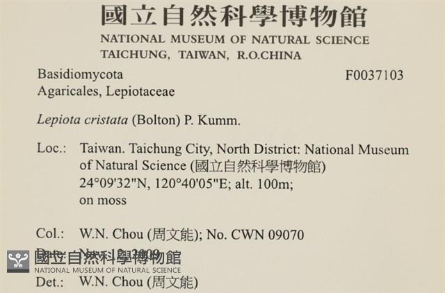 登錄號:F0037103藏品圖，第2張