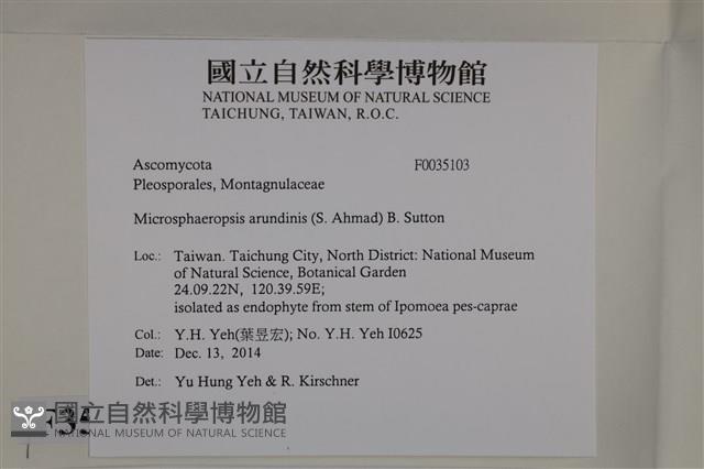 登錄號:F0035103藏品圖，第2張