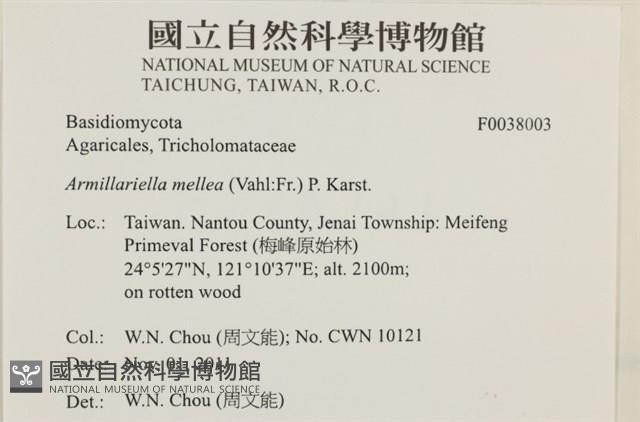 登錄號:F0038003藏品圖，第2張