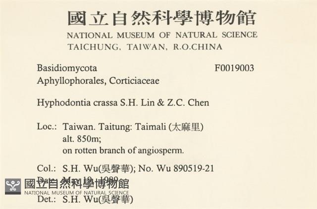 登錄號:F0019003藏品圖，第2張