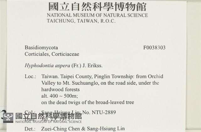 登錄號:F0038303藏品圖，第2張