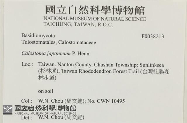 登錄號:F0038213藏品圖，第2張